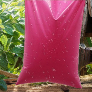 Chuang Lijie Waterproof Courier <b>Bag</b> Rose Red <b>Polyethylene</b> Self Sealing Mailing <b>Bag</b> For Express Packaging - Product Image 2