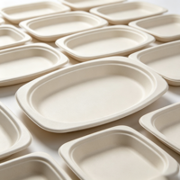 Assiette carrée ovale de 9 pouces en bagasse de canne à sucre, jetable et compostable, pour la restauration, les plats à emporter et la vente en gros