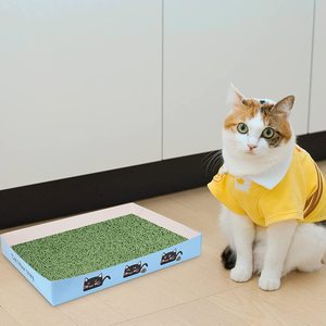 Bac à litière jetable pour chat Super léger étanche pour voyage et utilisation en intérieur Caja de <span class=keywords><strong>arena</strong></span> para gatos - Product Image 2
