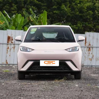 Mini voiture électrique pure de haute qualité EV de véhicule électrique pur Byd Seagull de Chine