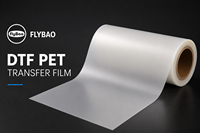 Film DTF PET en rouleau, livraison rapide directe d'usine, 60 cm x 30 cm, format A3, matériau transparent de transfert thermique pour l'impression sur vêtements