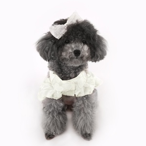 春と夏のテディキャットビション服2点セットトップ + スカートラブジャカード生地 - Product Image 5