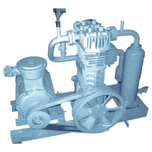 Suction Pressure Z1W-0.8/10-15 Biogas Filling Machine Liquefied Petroleum Industrial Gas Booster Piston Reciprocating Compressor