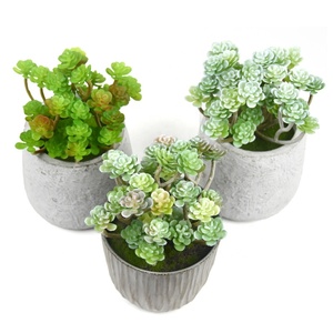 All'ingrosso della fabbrica di Alta Qualità di plastica pianta 34 testa <span class=keywords><strong>succulente</strong></span> per la decorazione vaso di fiori - Product Image 5