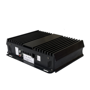 Marché américain 12V classe D monobloc amplificateur numérique <span class=keywords><strong>voiture</strong></span> amplificateur de puissance 1 canal Mono bloc Mini amplificateur pour voitures OEM - Product Image 2