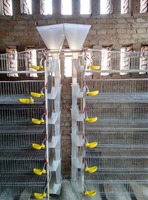 Cage à cailles de haute qualité de type H à alimentation automatique, cages à cailles pour la production d'œufs, cages à poules pondeuses