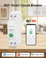 Interruptores Inteligentes WIFI 1P+N de Alta Calidad con Pantalla y Control Remoto, Monitoreo de Medición, 90V-260V