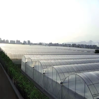 Invernadero de Plástico para Agricultura Comercial, Túnel de Cultivo de Polycarbonato para Hongos, Invernadero Multi-Span en Venta