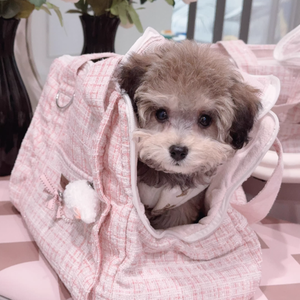 Sac de transport souple pour <span class=keywords><strong>chien</strong></span>, sac à bandoulière portable avec coussin amovible pour petits animaux de compagnie, idéal pour les voyages <span class=keywords><strong>et</strong></span> le shopping - Product Image 4