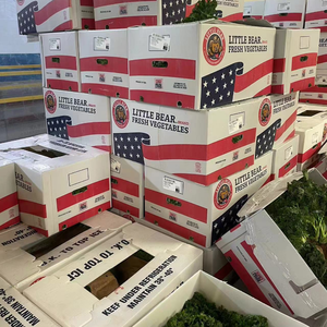 Ringan Corflute PP ceri bergelombang jeruk mangga jeruk solusi kemasan Coroplast plastik Asparagus Transport kotak kapal - Product Image 5