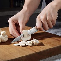 10% de réduction sur un couteau professionnel en acier inoxydable de 5 pouces mazon top vente ensemble de couteaux de chef en bois Pakka de cuisine avec boîte-cadeau