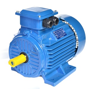 Moteur électrique triphasé à induction en fonte, série Ye4, 1000 tr/min, 45 kW/60 ch, 50 Hz, à haut rendement - Product Image 1