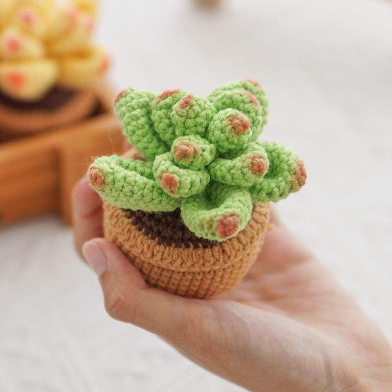 Small Green Succulent (DIY Material Kit)