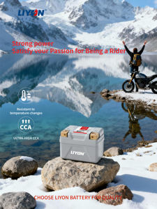 Batterie de moto LP16, système électrique de moto, résistance à haute température, longue durée de vie du cycle - Product Image 6