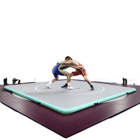 Tapis de lutte gonflable épais 10x10 pour BJJ, Judo, Grappling, Équipement d'arts martiaux, Entraînement en salle de sport, Fournisseur en gros
