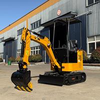Mini-excavatrice EPA de 1 tonne, petite pelle sur chenilles avec moteur Briggs & Stratton pour chantier et serre de jardin, à vendre