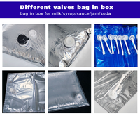 Sac BIB Aseptique Transparent 20L en PA/NY de Qualité Alimentaire avec Bec Verseur et Bouchon Anti-Fuite pour Emballage de Jus et Boissons