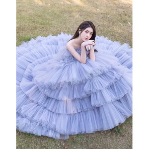 Strapless Tulle Ball Gown Natural Waist Gray Color Outdoor Wedding Dress Trailing Cake Style Photography Gown - Product Image 3