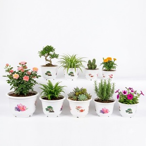 Juego de Macetas de Plástico PP Resistente, 9 Tamaños, Color Blanco, con Diseño de Bonsái, Borde Ancho y Base con Patas, para Hogar y Jardín - Product Image 1