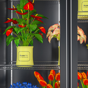 Réfrigérateur de présentation pour fleurs, congélateurs de présentation, armoires réfrigérées de présentation, réfrigérateur à fleurs d'<span class=keywords><strong>occasion</strong></span> - Product Image 6