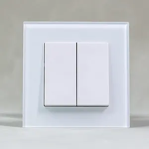 Apariencia de moda Panel de vidrio templado Estándar europeo Energía eléctrica 2 Gang 1 Way 2 Way Interruptor de luz integrado en la pared