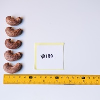 Nueces de Anacardo Tostadas Premium de Vietnam W180 163g, Caja de Regalo Ovalada, Certificación ISO, Sabor Cremoso y Salado, Marca Dong Phu, 12 Meses de Caducidad