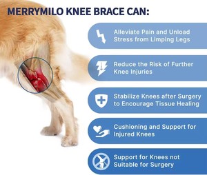 Venta caliente transpirable perro rodillera ajustable lesión canino ligamento cruzado articulación rodilla soporte envoltura mascota perro rodillera - Product Image 4