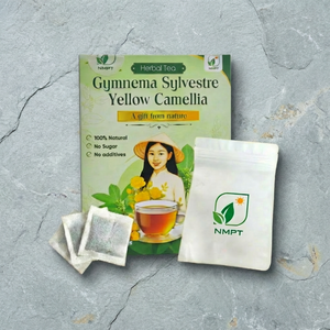 Vietnamese Origin Gymnema Sylvestre and Yellow Camellia Herbal <b>Tea</b> Cold-Dried <b>Tea</b> Bags for Energy Support OEM - Product Image 1