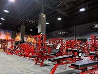 Meilleur nouveau design Gym Hip Thrust Fessier Exercise Machine Commercial Fitness Equipment