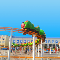 Équipement de montagnes russes pour fête foraine, manèges de jardin pour enfants, mini-montagnes russes Wacky Worm