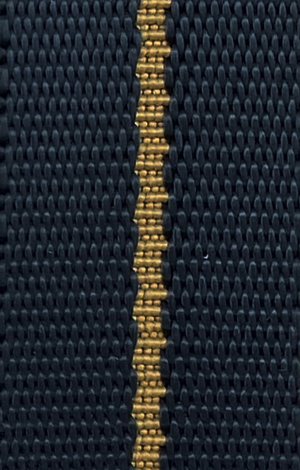 PE-06 Asteroide-Caqui