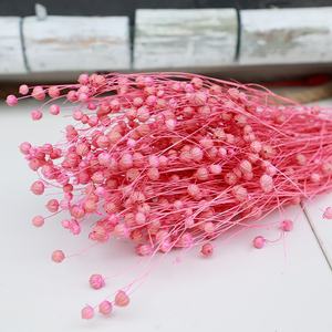Flores decorativas de fábrica, suministro de floristería, 50g/manojo de frijol de Acacia, semillas de lino secas preservadas, ramo de frutas Jequirity, manojo de Linum - Product Image 3