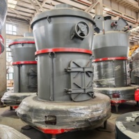 Usine de production de poudre de carbonate de calcium de haute qualité, de fluorite, de mica, de dolomite et de pyrophyllite en Inde, utilisant un broyeur Raymond