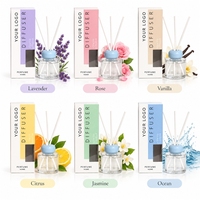 Diffuseur de parfum liquide écologique pour la maison et la voiture, motif personnalisé, 100 ml, avec emballage sur mesure