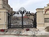 Porte d'entrée de maison au design classique et ornemental