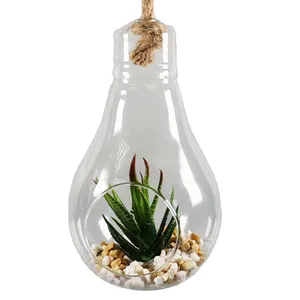 Export Wholesale Lamp Bulb Glass Pot Wall Hangings Succulent and Aloe Plants