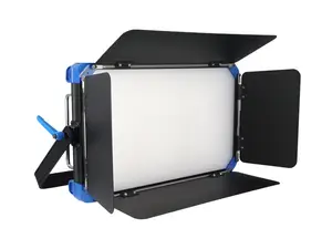 Le vendite calde della fabbrica 300W hanno condotto la luce dello Studio video a doppia temperatura di colore per l'attrezzatura fotografica