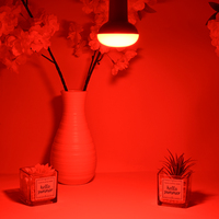 Haute qualité E26 Base 7W ampoule rouge rougeoyante couleur de lumière unique Production professionnelle AC 100 ~ 240V E27 ampoules LED pour la maison