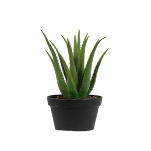 Planta falsa <span class=keywords><strong>de</strong></span> precio barato al por mayor <span class=keywords><strong>de</strong></span> alta simulación <span class=keywords><strong>de</strong></span> 45cm <span class=keywords><strong>de</strong></span> altura, planta suculenta <span class=keywords><strong>de</strong></span> aloe <span class=keywords><strong>vera</strong></span> artificial verde en maceta para decoración del hogar - Product Image 2