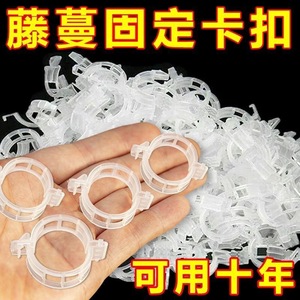 Clips de plástico para atar plantas, 2,5 cm de diámetro, para plantas trepadoras y plántulas, accesorio para herramientas de jardín - Product Image 4