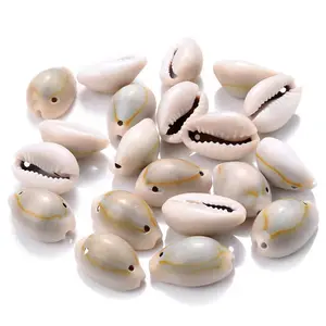 Factory Direct Sales DIY Seashell Necklace Golden Conch Shell Jewelry Grey Cowrie Shells