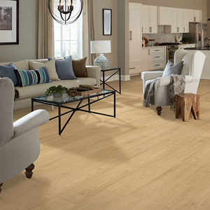 <span class=keywords><strong>Parquet</strong></span> <span class=keywords><strong>stratifié</strong></span> PVC gaufré <span class=keywords><strong>12</strong></span> <span class=keywords><strong>mm</strong></span> pour hôtels et salons – Vente en gros - Product Image 4