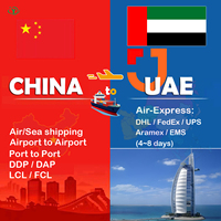Agent maritime économique vers les Émirats arabes unis, transitaire DDP, services logistiques Chine vers Dubaï, fret maritime FCL (conteneur complet) et LCL (conteneur partiel)