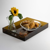 Plateau de service décoratif en acrylique fait main jetable avec poignées pour table basse ottoman, bar, cuisine, fête - Ambre