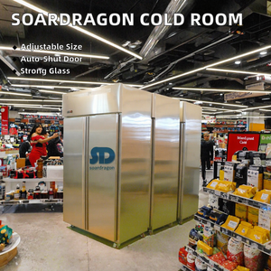 ตู้เย็น Soardragon แบบตั้งตรง 4 ประตู ระบบละลายน้ำแข็งอัตโนมัติ ควบคุมอุณหภูมิแบบดิจิตอล โหมดประหยัดพลังงาน 2-8 องศาเซลเซียส ชั้นวางปรับได้ S - Product Image 6