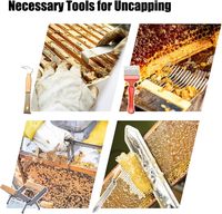 Kit d'outils d'apiculture de 22 pièces pour apiculteurs, comprenant un kit de fumoir à abeilles et des outils de ruche, neuf, garantie 1 an