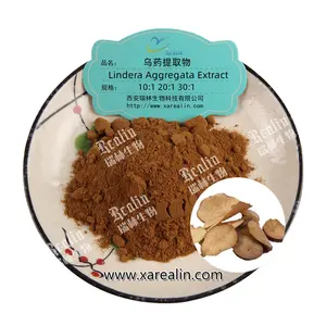 Radix Lindera Powder Combined Spicebush Root Extract Lindera Aggregata Extract