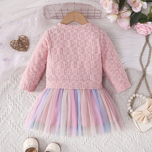 Vestido de Fiesta para Niña Otoño Invierno, Ropa Infantil con Lindo Estampado Floral, Falda de Malla con Diseño de Flores de Cerezo, Diseño Moderno - Product Image 2