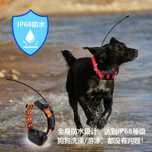 Traceur GPS <span class=keywords><strong>pour</strong></span> animaux <span class=keywords><strong>de</strong></span> compagnie, couverture mondiale, distance illimitée, <span class=keywords><strong>pour</strong></span> la <span class=keywords><strong>chasse</strong></span> en extérieur, la <span class=keywords><strong>chasse</strong></span> aux animaux et l'entraînement canin, <span class=keywords><strong>collier</strong></span> anti-aboiement <span class=keywords><strong>pour</strong></span> <span class=keywords><strong>chien</strong></span> - Product Image 4