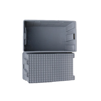 Caisse en plastique empilable et emboîtable NEXARA de qualité alimentaire 1100x650x550mm, conteneur pour la logistique de la chaîne du froid